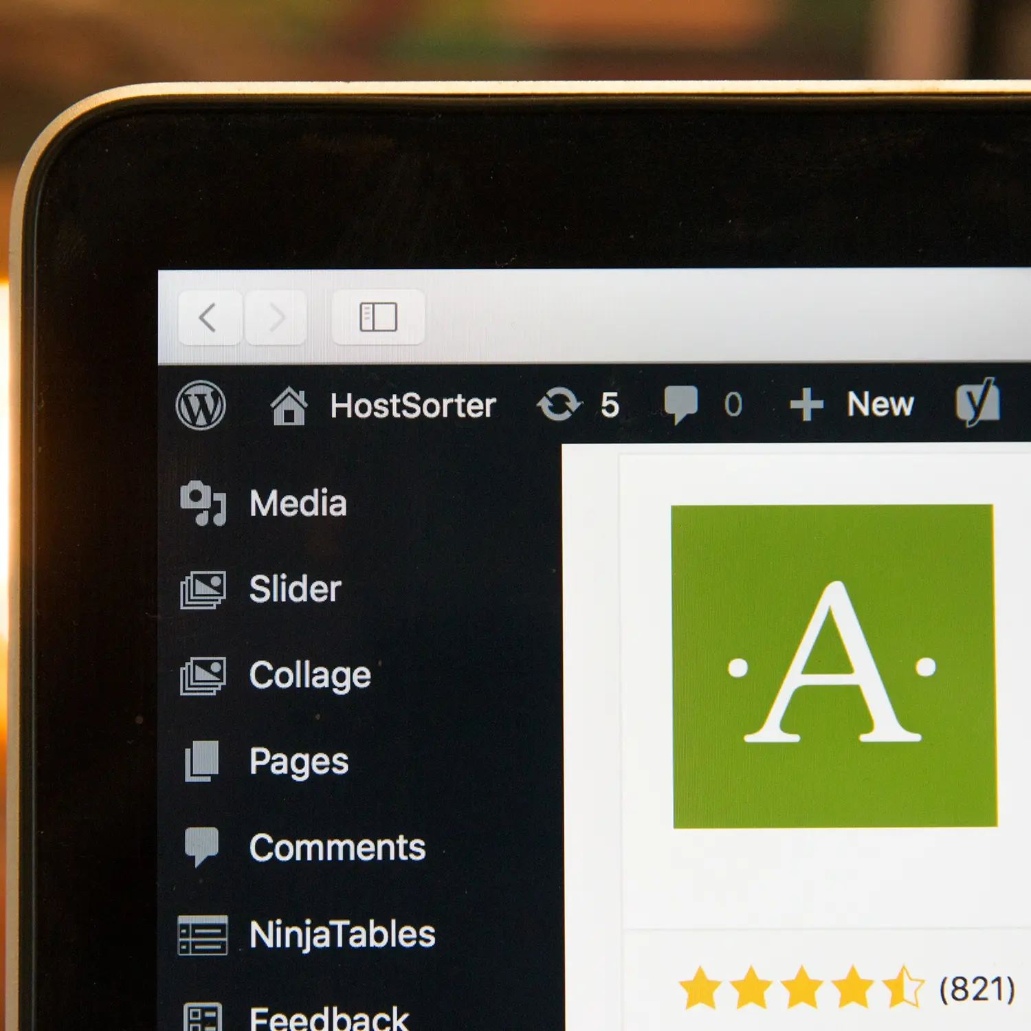 wordpress management and development